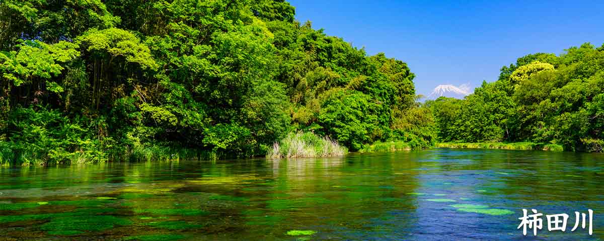 柿田川のある三島うまれのラーメンです